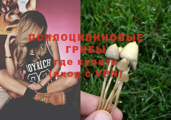 стафф Пролетарск