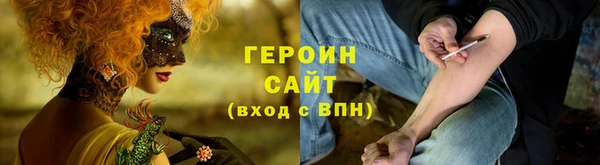 прущие грибы Елабуга