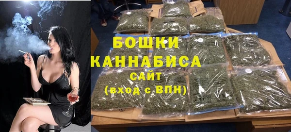 PSILOCYBIN Ельня