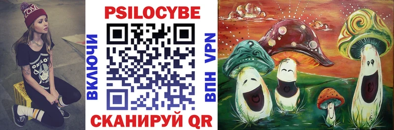 Галлюциногенные грибы Psilocybe  Бавлы 